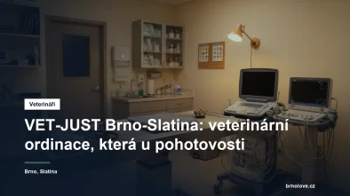 Veterinární ordinace s vyšetřovacím stolem, ultrazvukem a EKG přístrojem ve večerním osvětlení