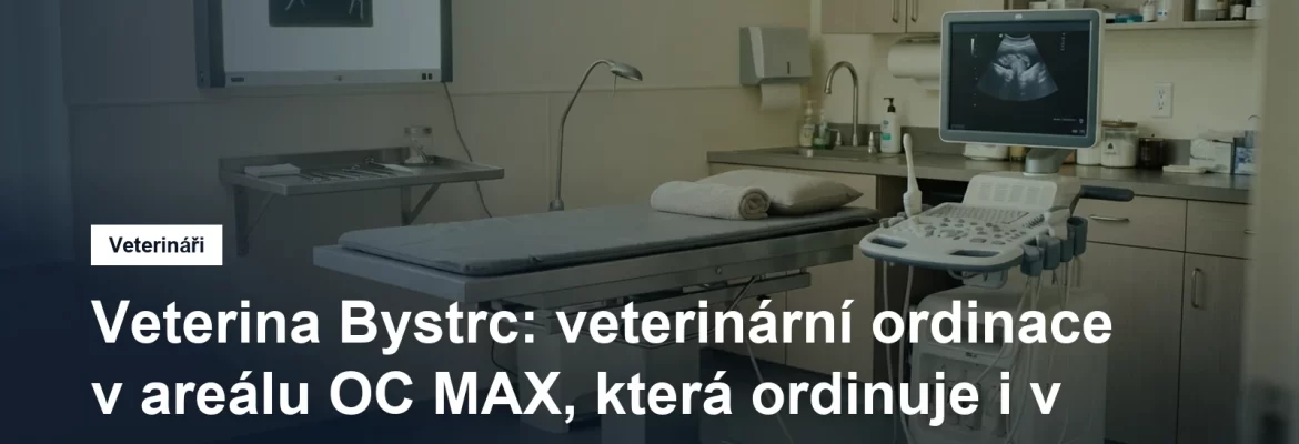 Vyšetřovna veterinární ordinace s nerezovým stolem, ultrazvukem a prosvětlovacím panelem na rentgenové snímky