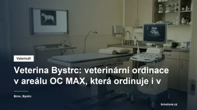 Vyšetřovna veterinární ordinace s nerezovým stolem, ultrazvukem a prosvětlovacím panelem na rentgenové snímky