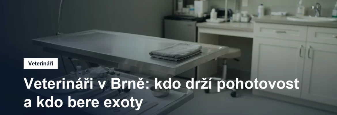 Vyšetřovna veterinární ordinace s nerezovým stolem a stetoskopem