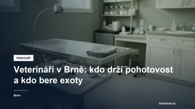 Vyšetřovna veterinární ordinace s nerezovým stolem a stetoskopem