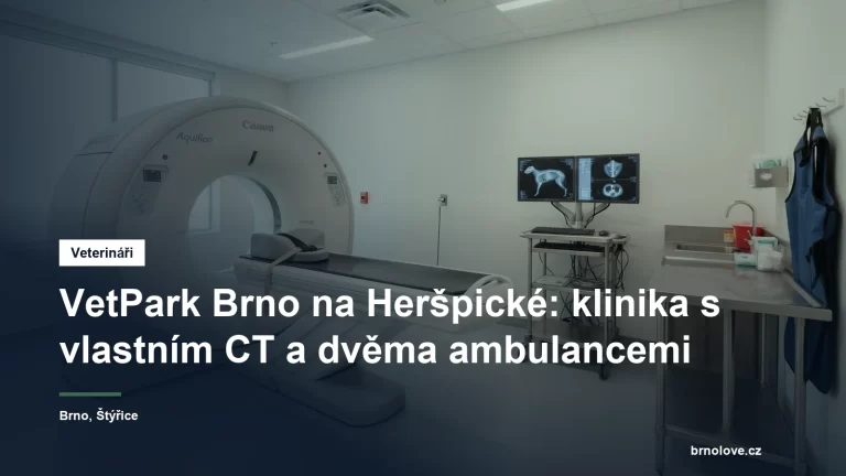 Vyšetřovna veterinární kliniky s počítačovým tomografem připraveným k vyšetření zvířecího pacienta