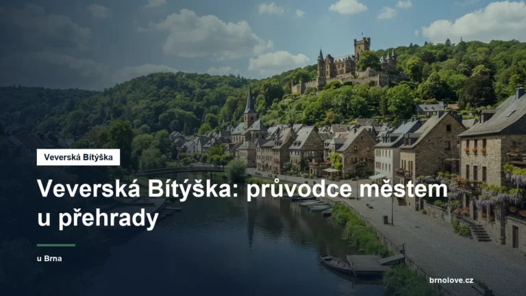 Pohled na město u řeky a hrad Veveří