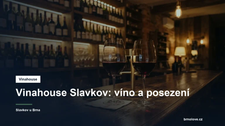 Sklenky vína na baru vinotéky