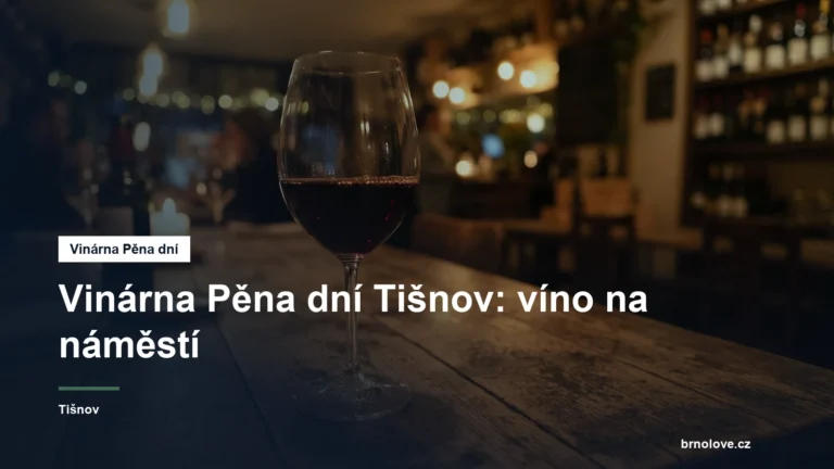 Sklenka vína na stole vinárny