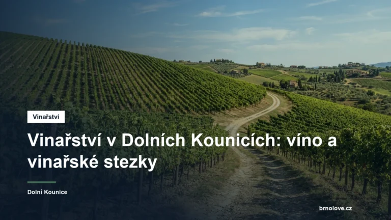 Vinice a vinařská stezka v krajině