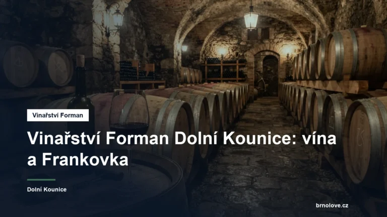 Sklenka červeného vína a sudy ve sklepě