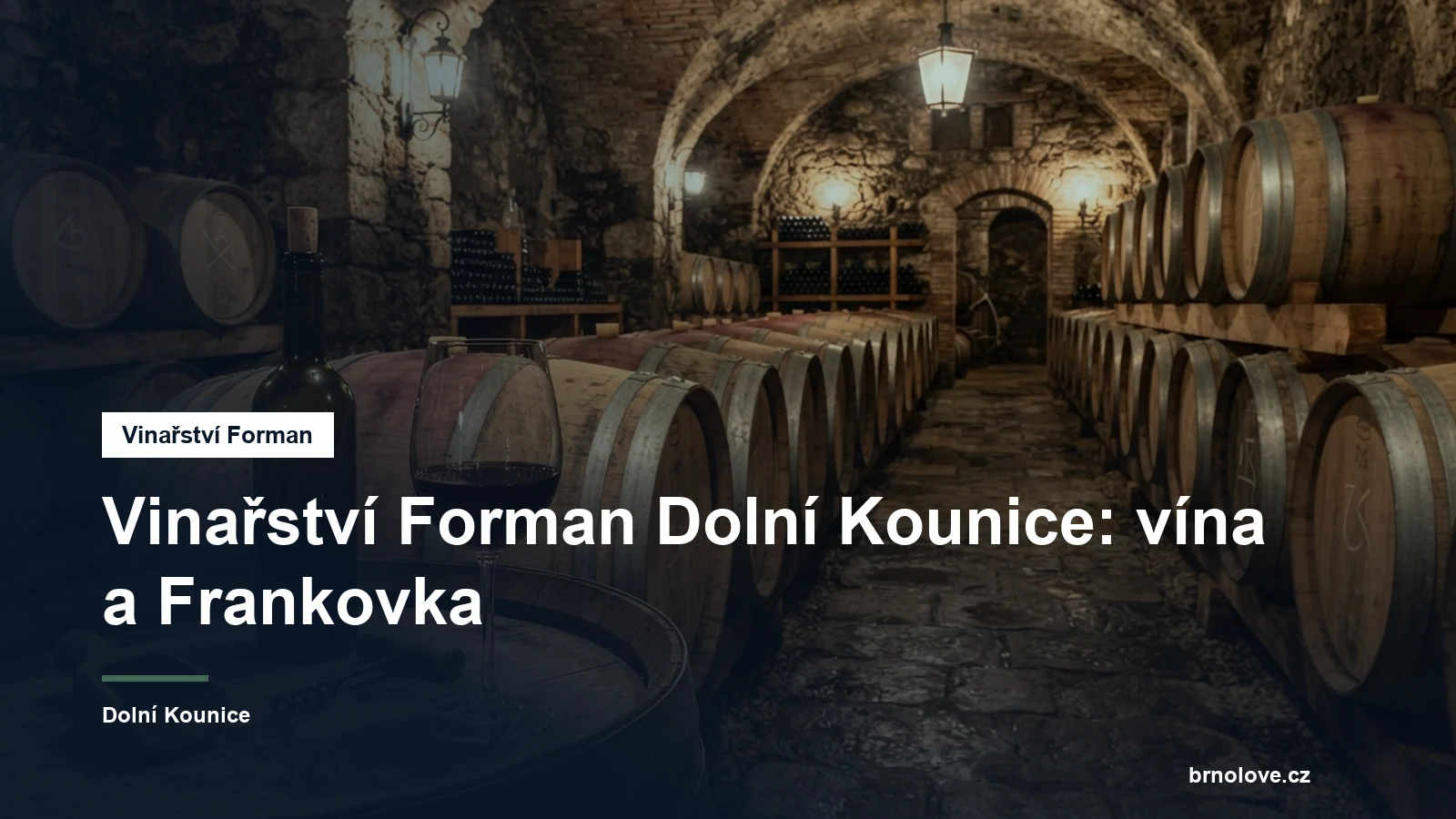 Sklenka červeného vína a sudy ve sklepě