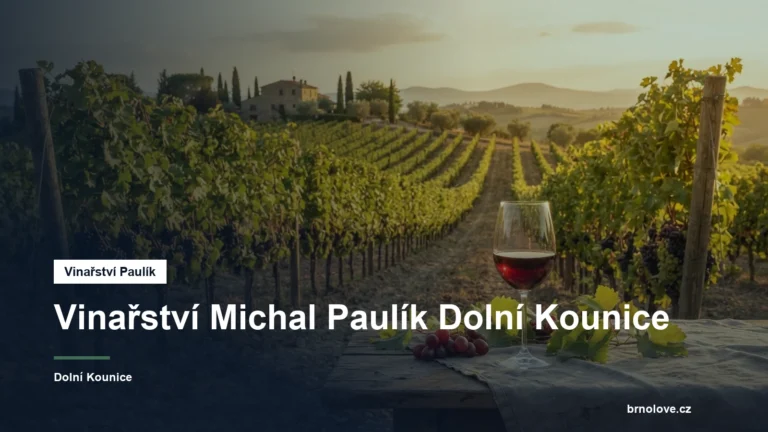 Sklenka vína a réva ve vinici