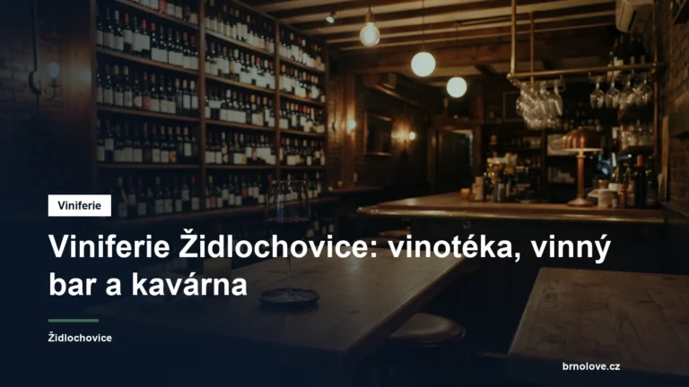 Sklenka vína a lahve ve vinotéce