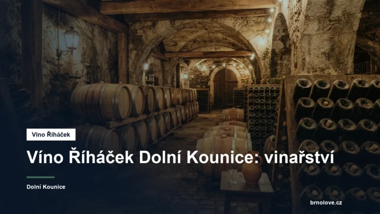 Sudy a lahve vína ve sklepě