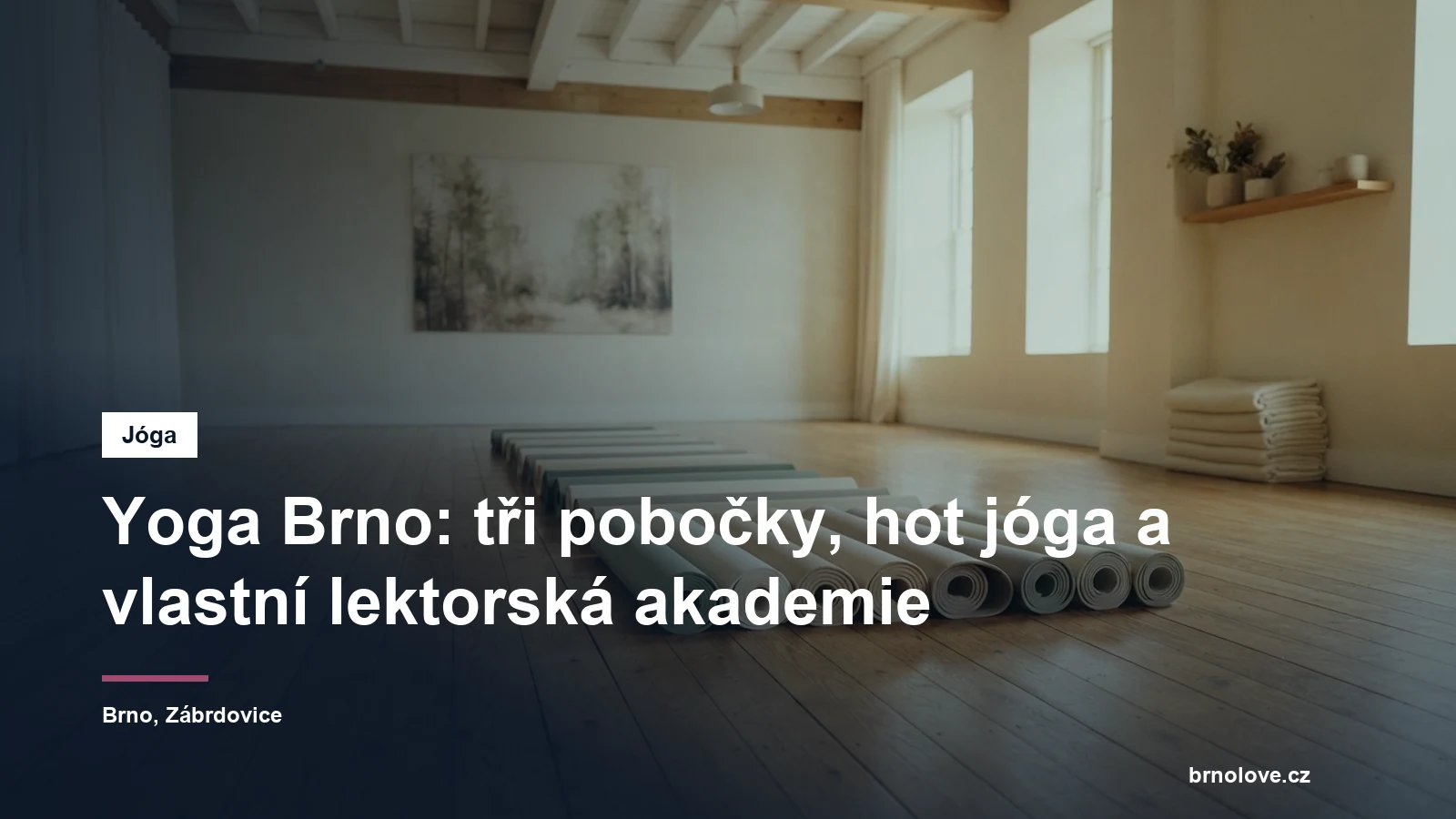 Prosvětlený jógový sál s dřevěnou podlahou a podložkami připravenými do řady, bez lidí