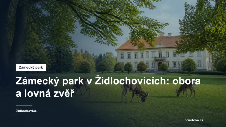 Mufloni v zámeckém parku