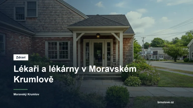 Zdravotnické zařízení ve městě