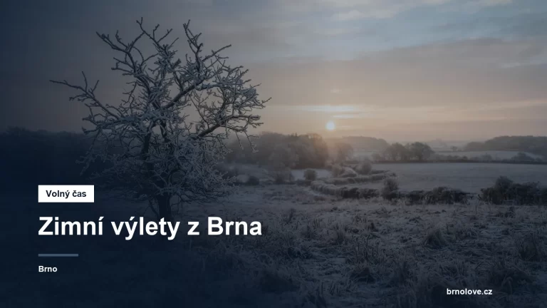 Zimní krajina bez sněhu