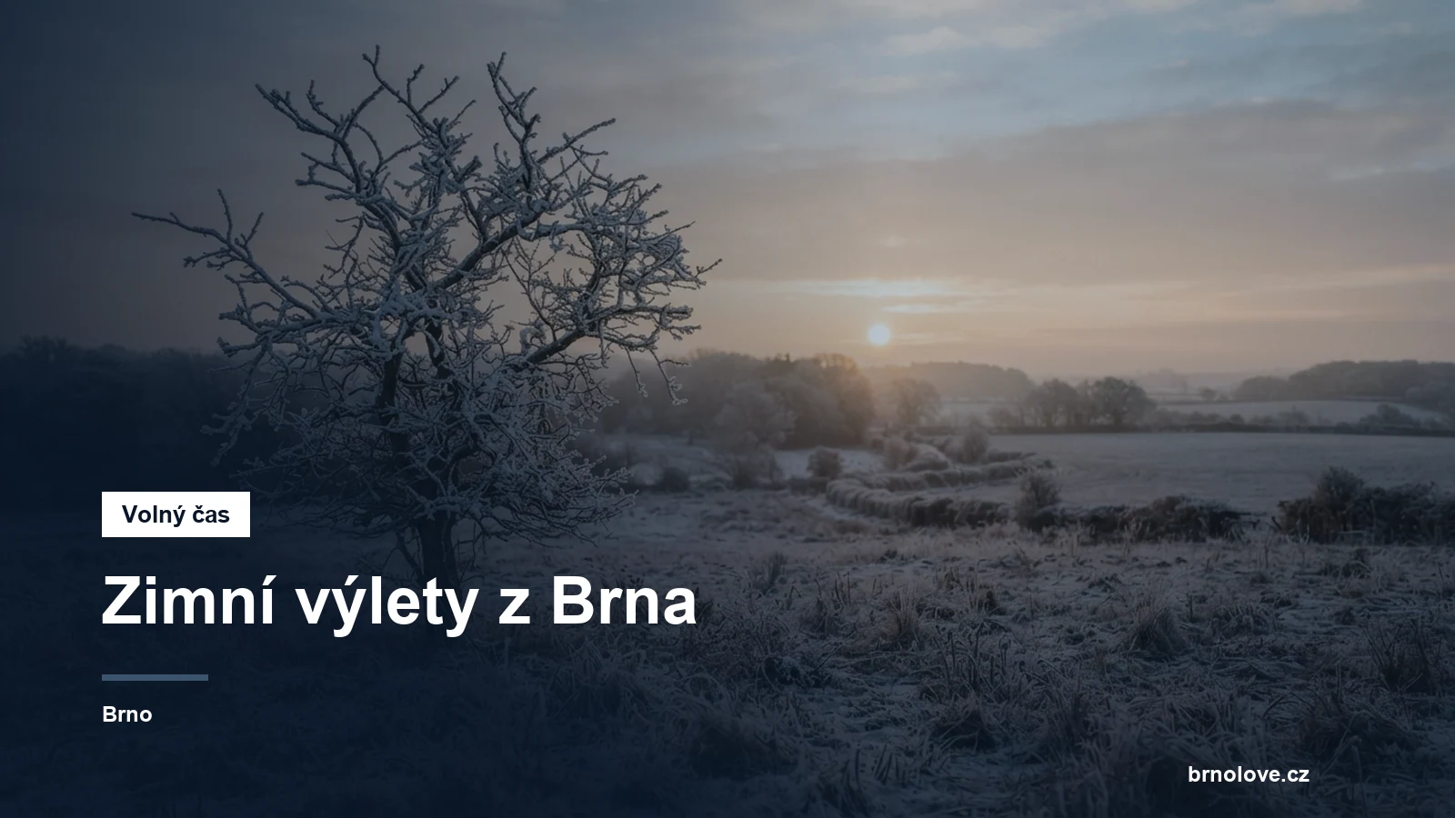 Zimní krajina bez sněhu