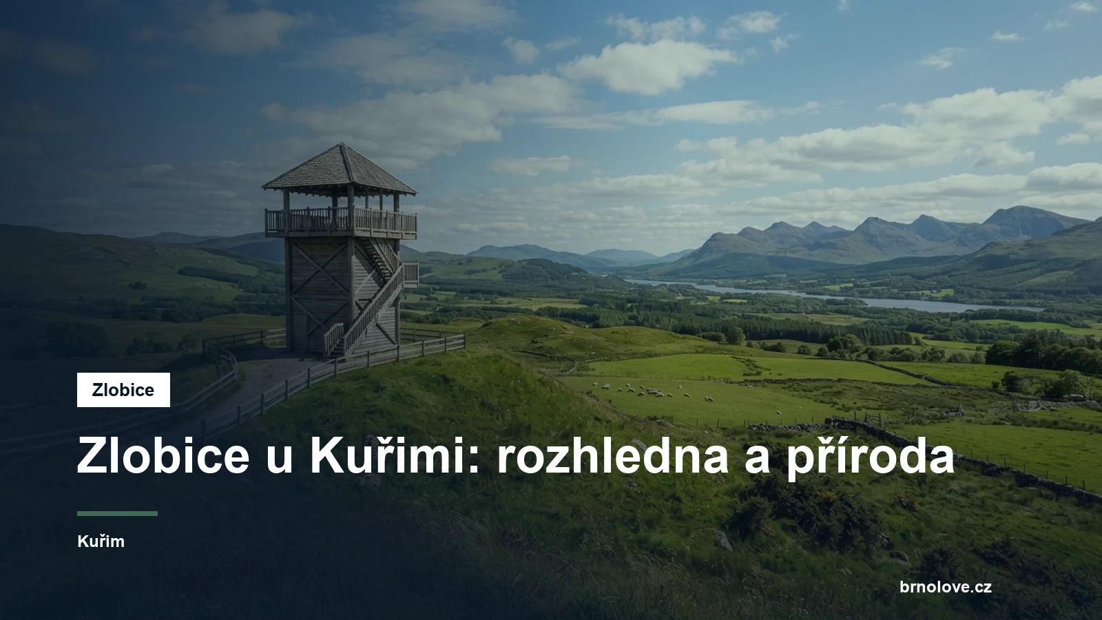Rozhledna na zalesněném kopci