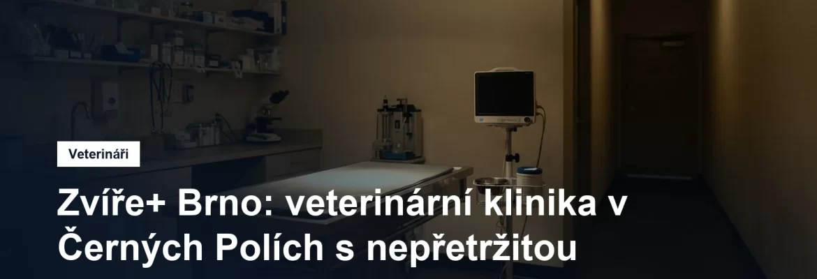 Rozsvícená veterinární ordinace s vyšetřovacím stolem a monitorem za tmy, připravená k nočnímu příjmu pacienta