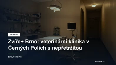 Rozsvícená veterinární ordinace s vyšetřovacím stolem a monitorem za tmy, připravená k nočnímu příjmu pacienta