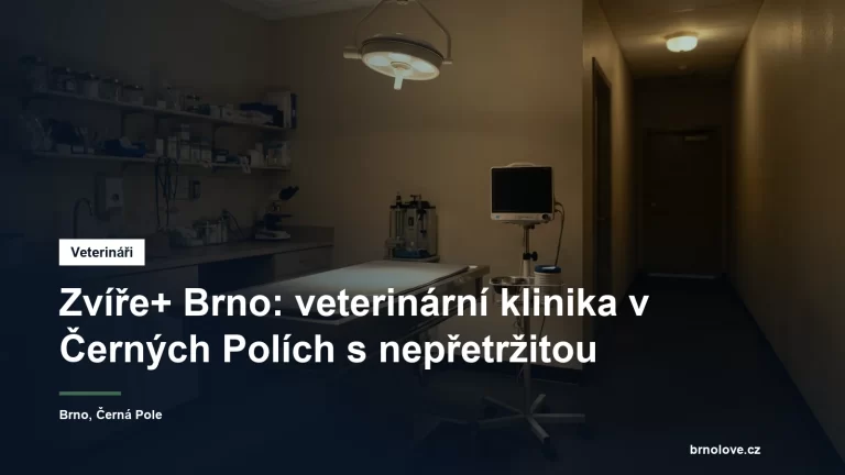Rozsvícená veterinární ordinace s vyšetřovacím stolem a monitorem za tmy, připravená k nočnímu příjmu pacienta