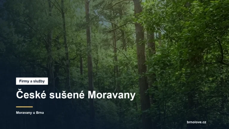 České sušené Moravany