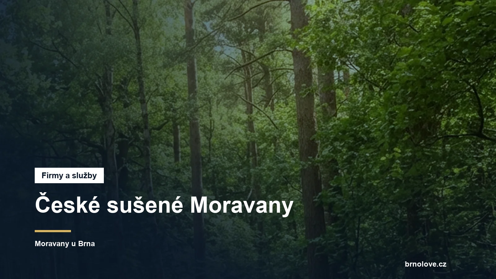 České sušené Moravany