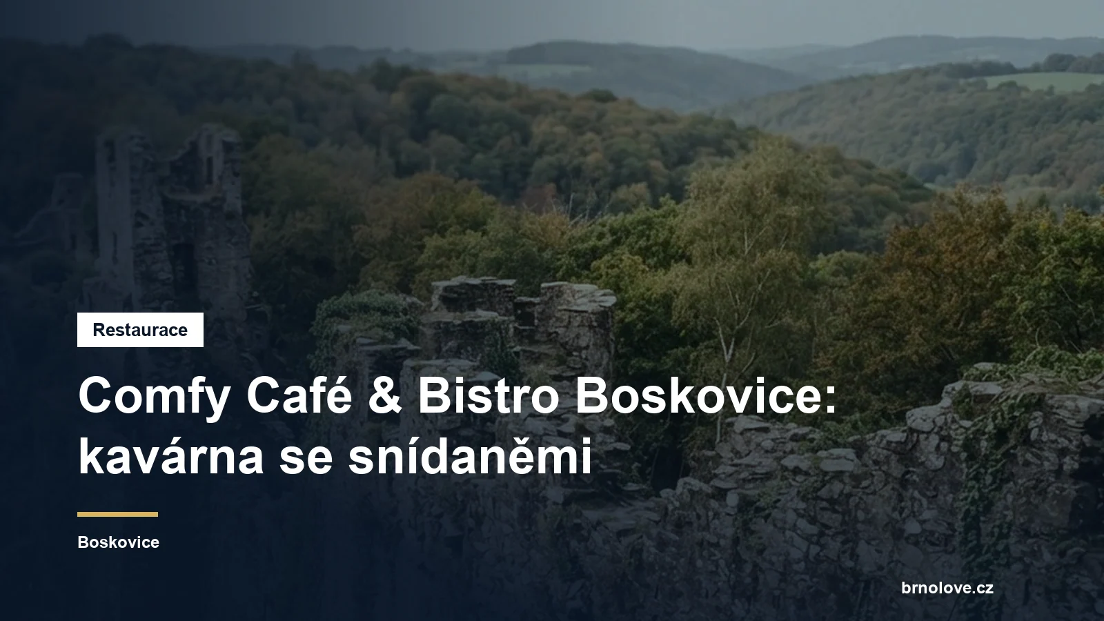 Comfy Café & Bistro Boskovice: kavárna se snídaněmi