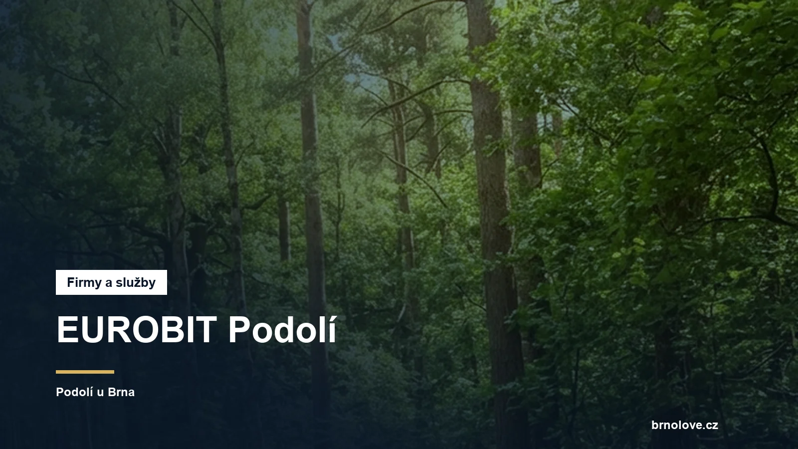 EUROBIT Podolí