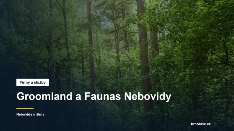 Groomland a Faunas Nebovidy