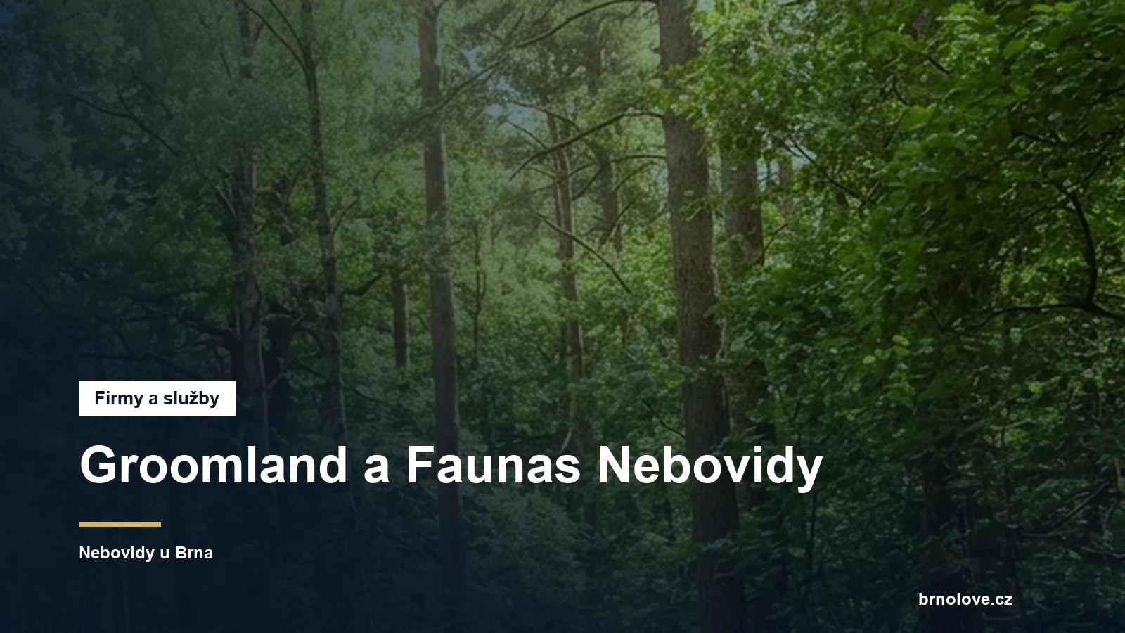 Groomland a Faunas Nebovidy