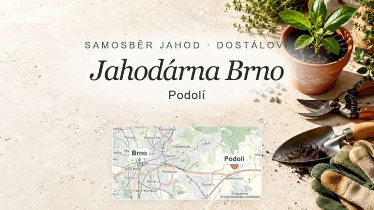 Jahodárna Brno, Podolí – obecný tematický motiv oboru a orientační mapa obce u Brna