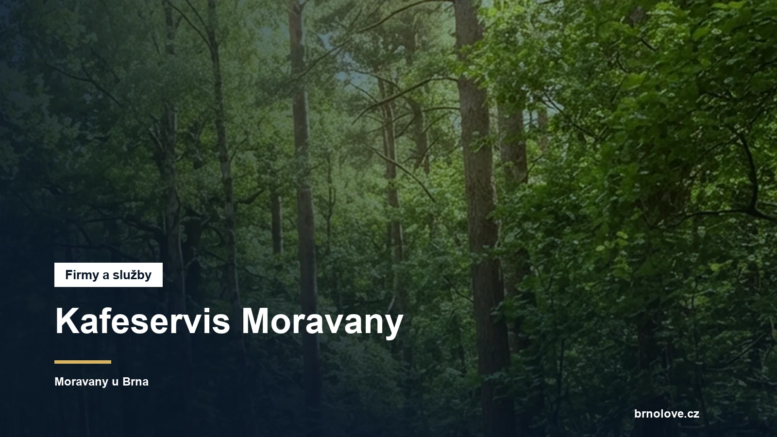 Kafeservis Moravany