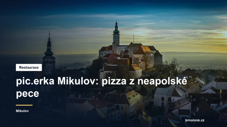 pic.erka Mikulov: pizza z neapolské pece