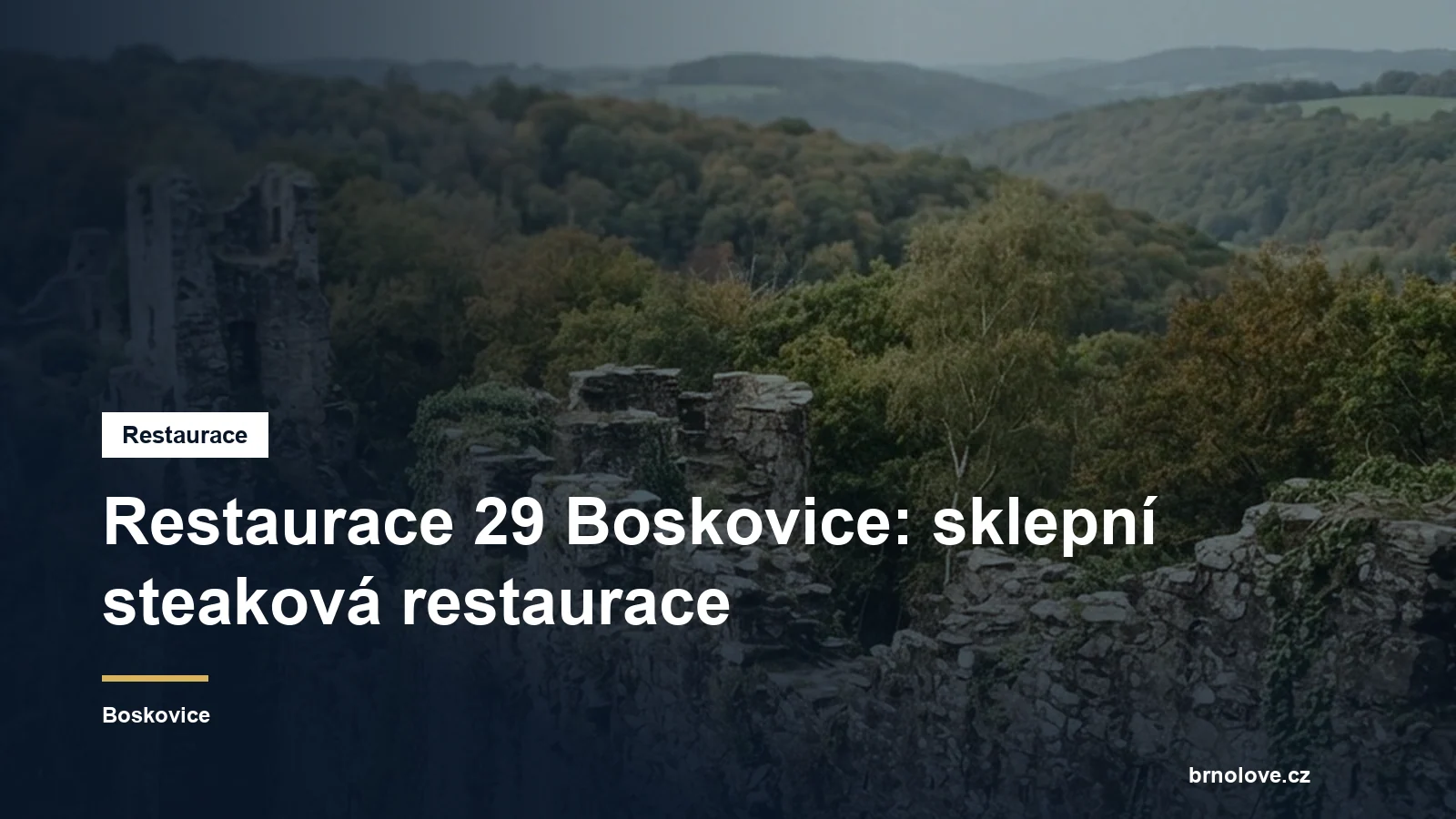 Restaurace 29 Boskovice: sklepní steaková restaurace