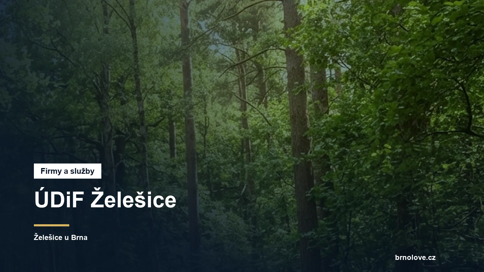 ÚDiF Želešice