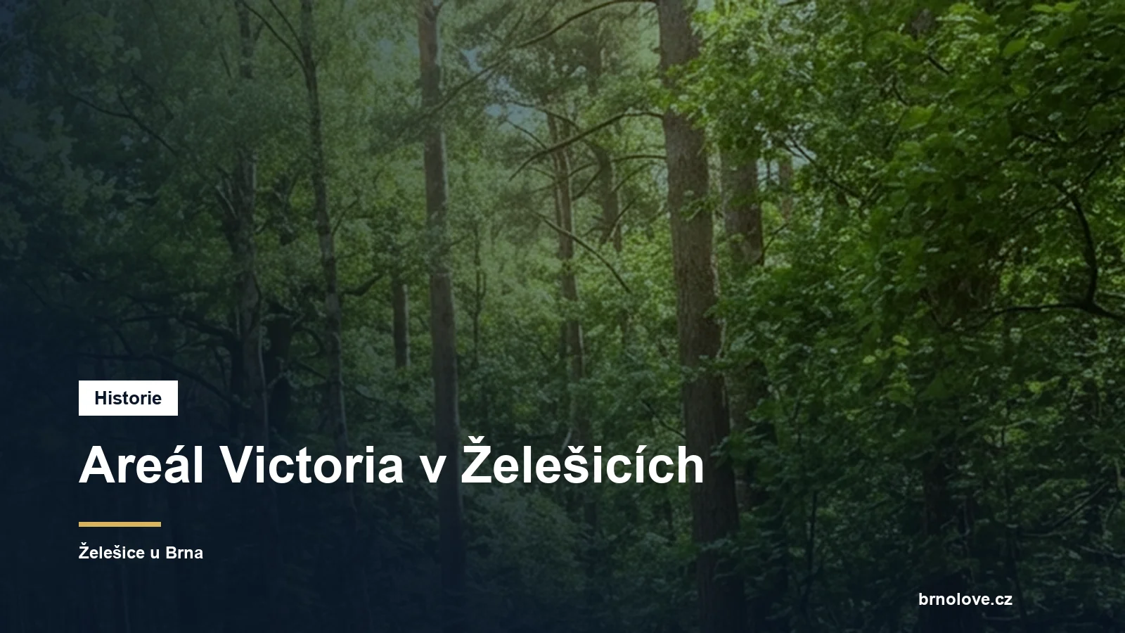 Areál Victoria v Želešicích