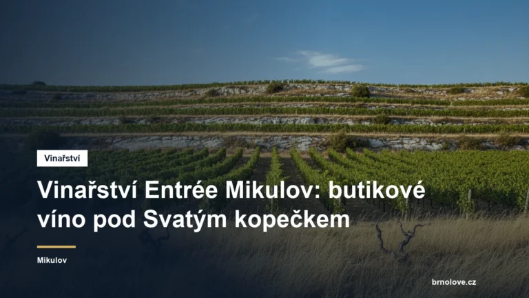 Vinařství Entrée Mikulov: butikové víno pod Svatým kopečkem
