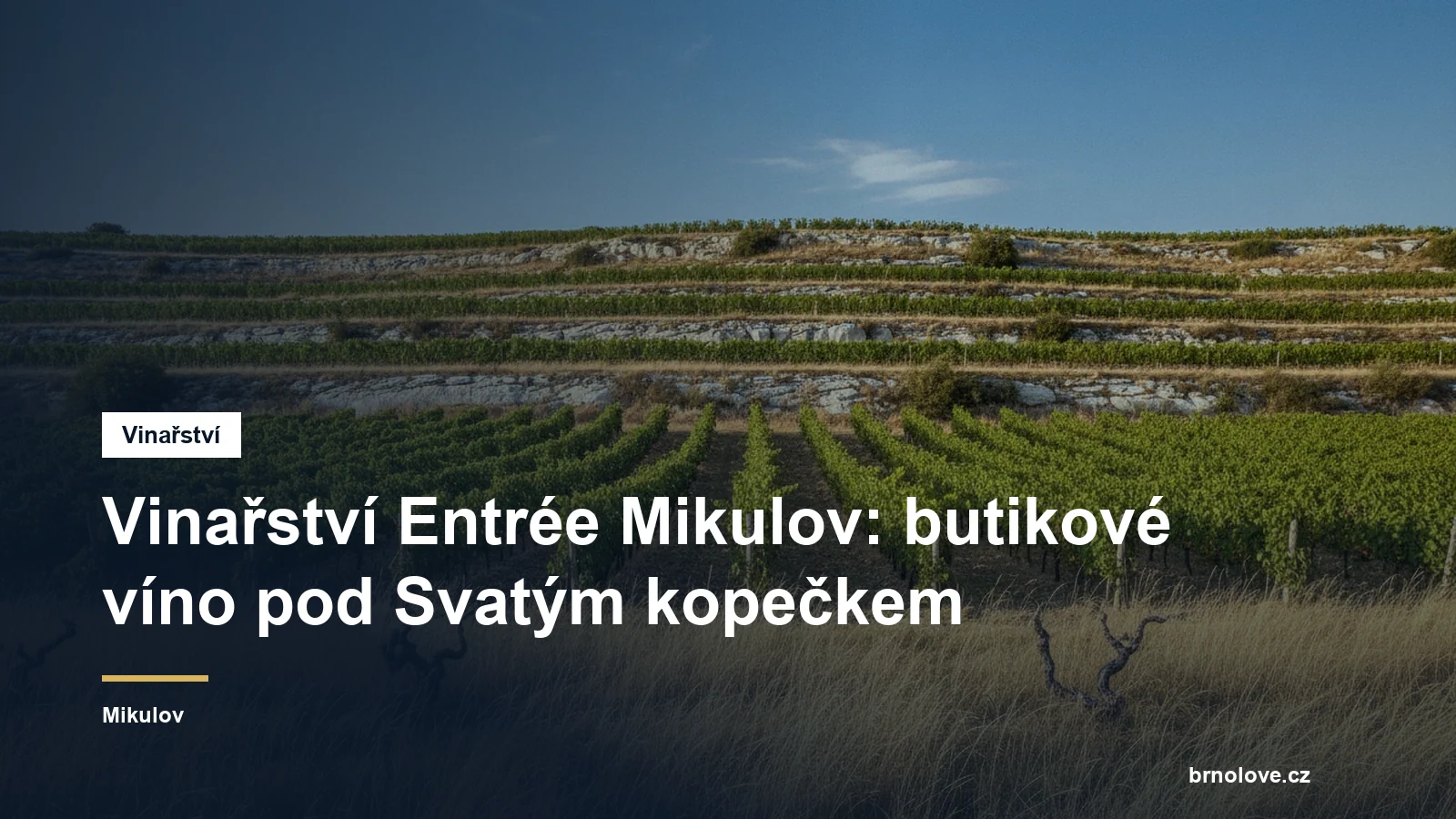 Vinařství Entrée Mikulov: butikové víno pod Svatým kopečkem
