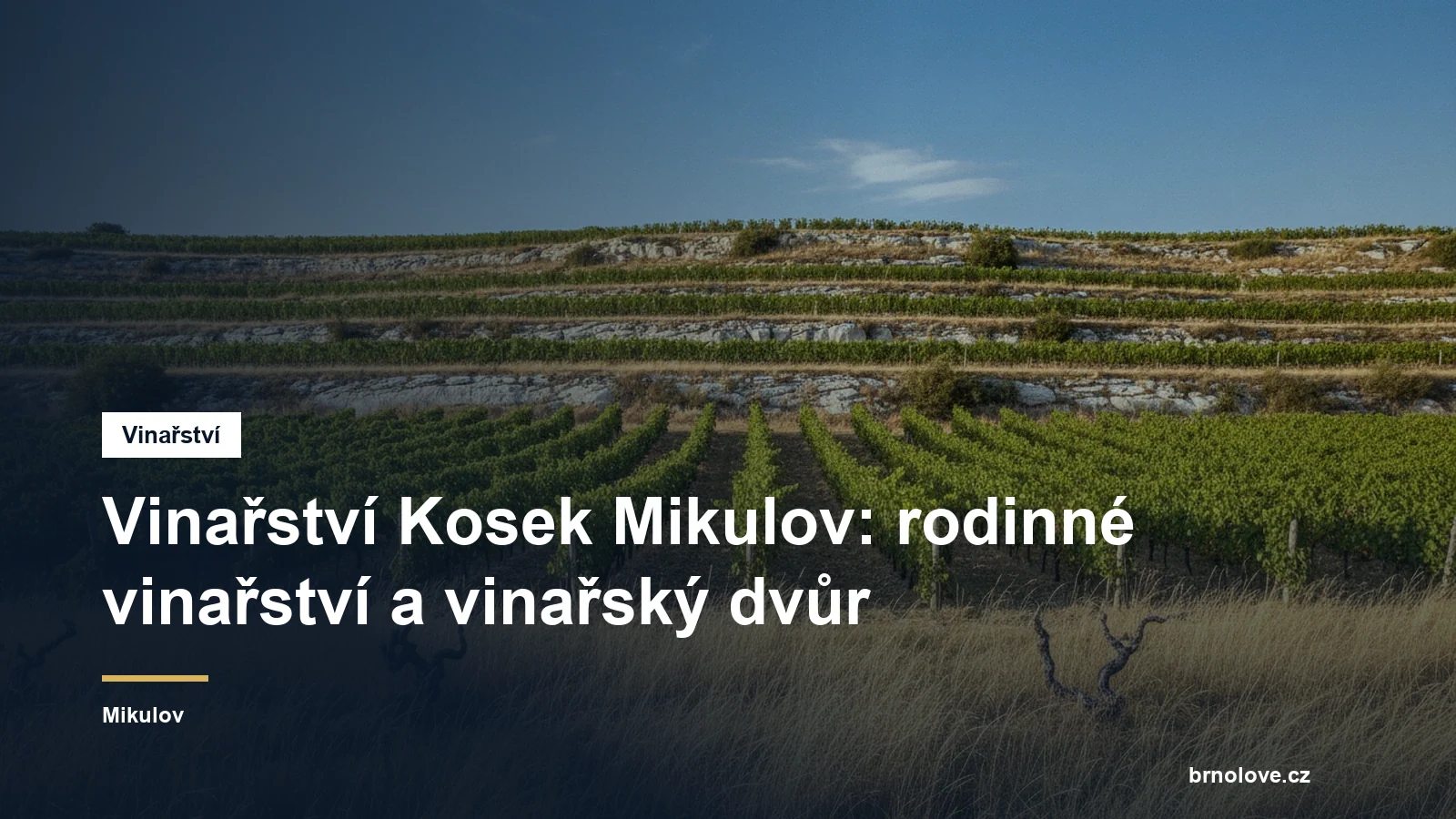 Vinařství Kosek Mikulov: rodinné vinařství a vinařský dvůr