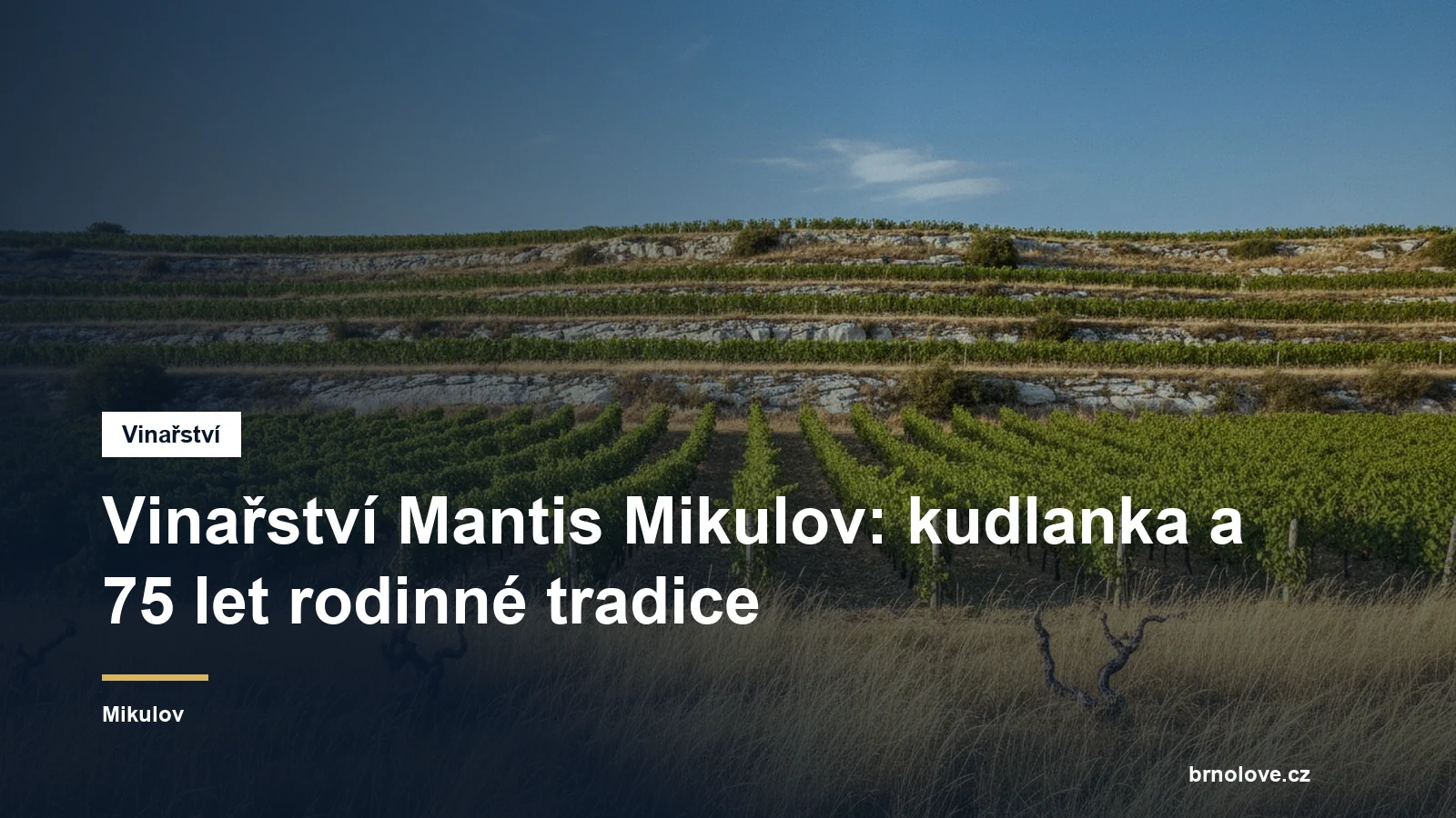 Vinařství Mantis Mikulov: kudlanka a 75 let rodinné tradice