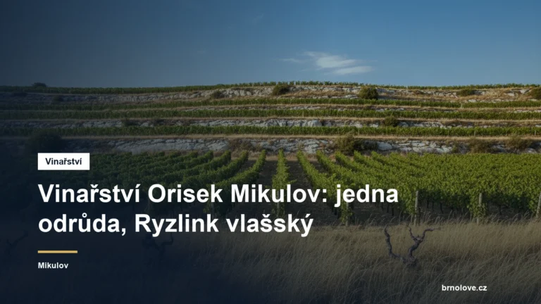Vinařství Orisek Mikulov: jedna odrůda, Ryzlink vlašský