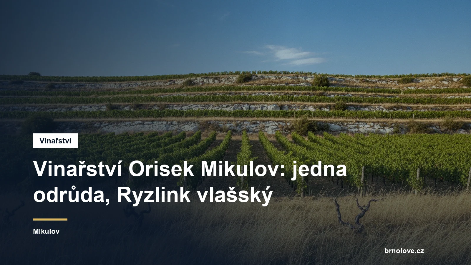 Vinařství Orisek Mikulov: jedna odrůda, Ryzlink vlašský