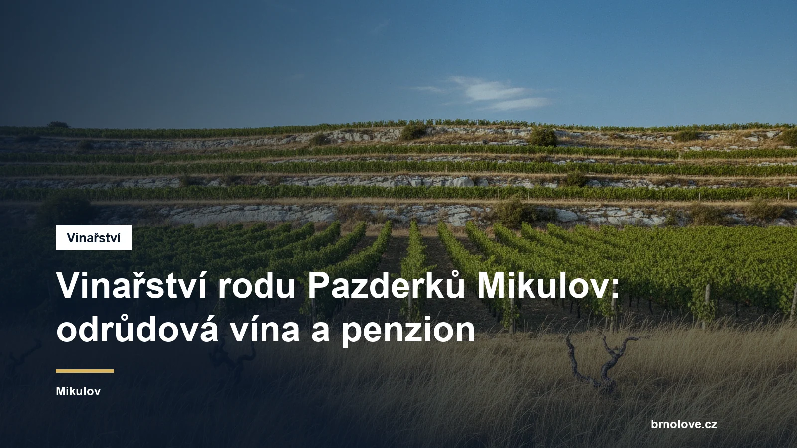Vinařství rodu Pazderků Mikulov: odrůdová vína a penzion