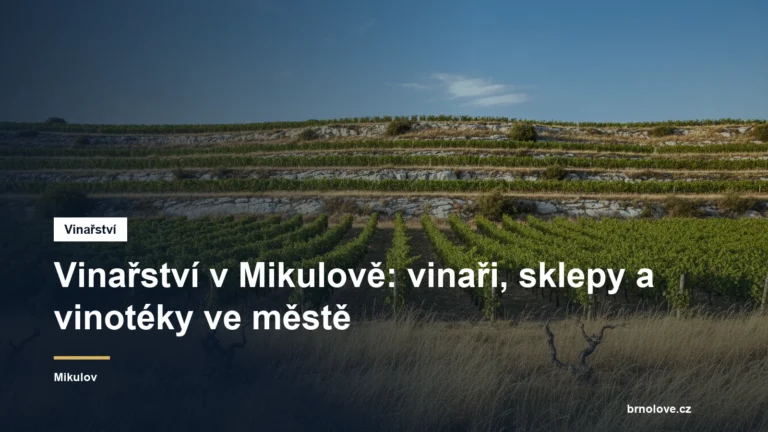 Vinařství v Mikulově: vinaři, sklepy a vinotéky ve městě