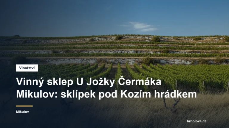 Vinný sklep U Jožky Čermáka Mikulov: sklípek pod Kozím hrádkem