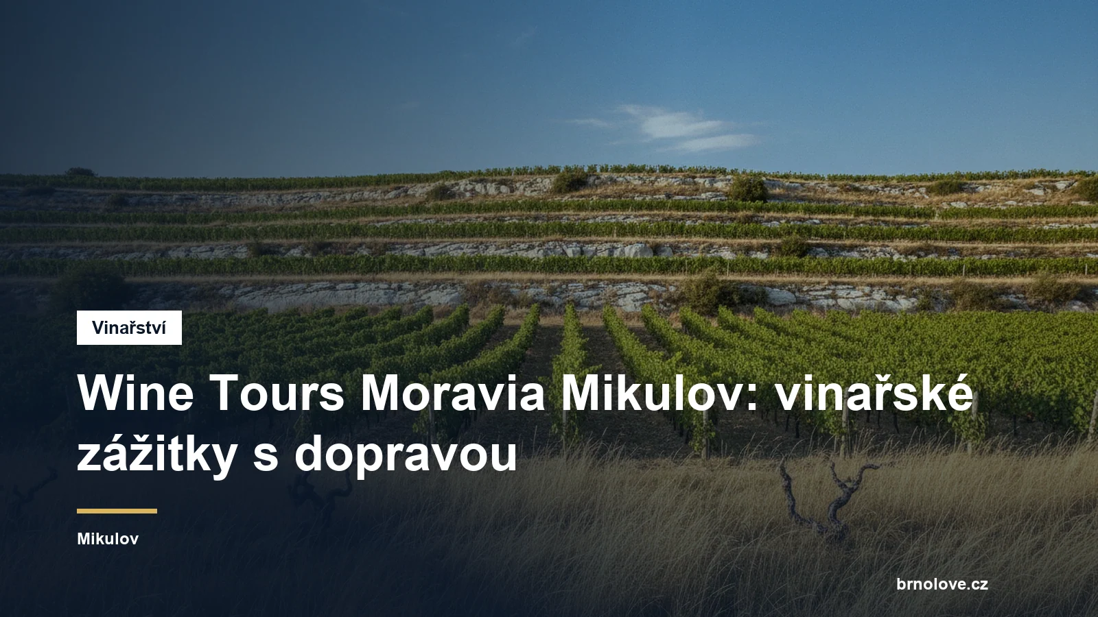 Wine Tours Moravia Mikulov: vinařské zážitky s dopravou