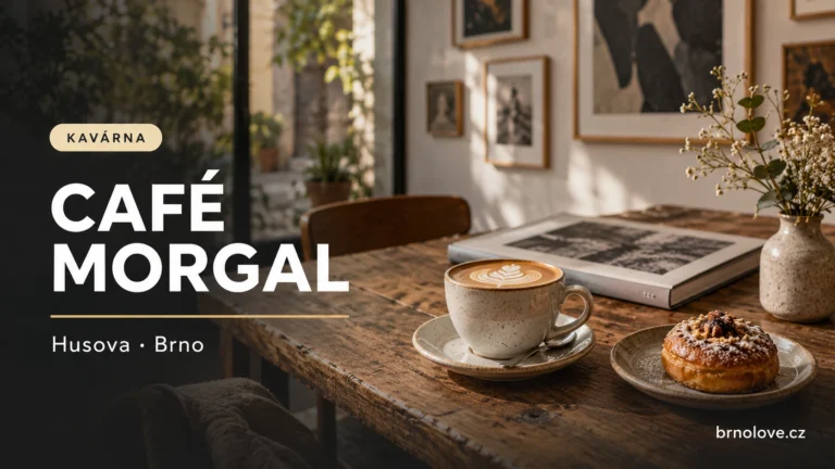 Ilustrační káva s dezertem a knihou o umění – Café Morgal, Brno