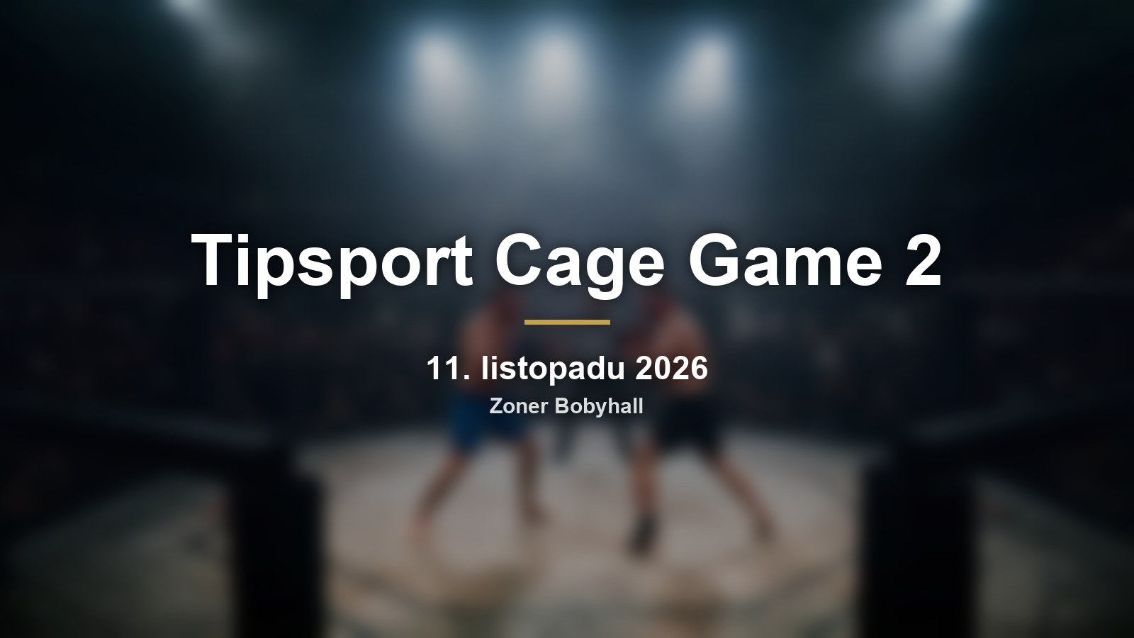 Tipsport Cage Game 2 v Brně: finále MMA show Pruyem vs. Jovinečko v Bobyhallu