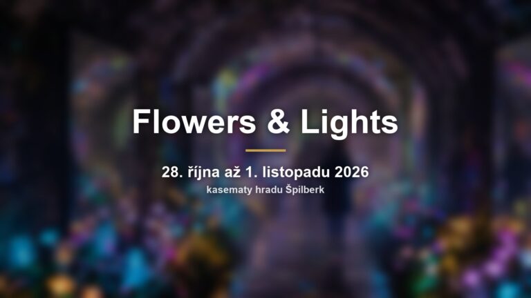 Rozmazané kasematy s květinami a světly a nápisem Flowers & Lights