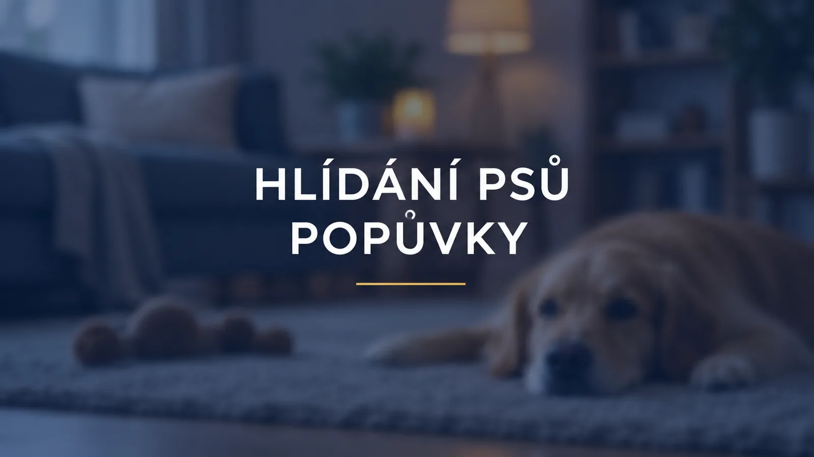Hlídání psů v Popůvkách: rodinná péče u Maděrových